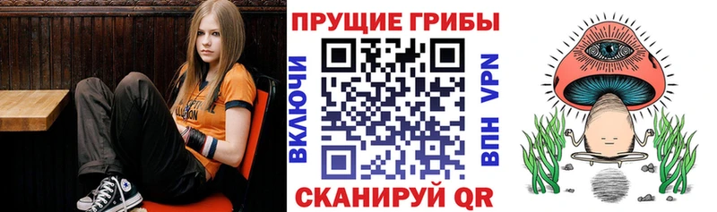 купить наркоту  Спасск  Псилоцибиновые грибы ЛСД 